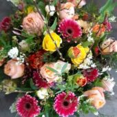 20220331_182206-scaled