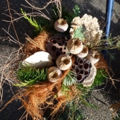 P1000502