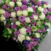 IMG-20150518-WA0004 (450x800)